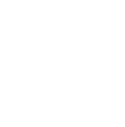 Development & Large-Scale Projects